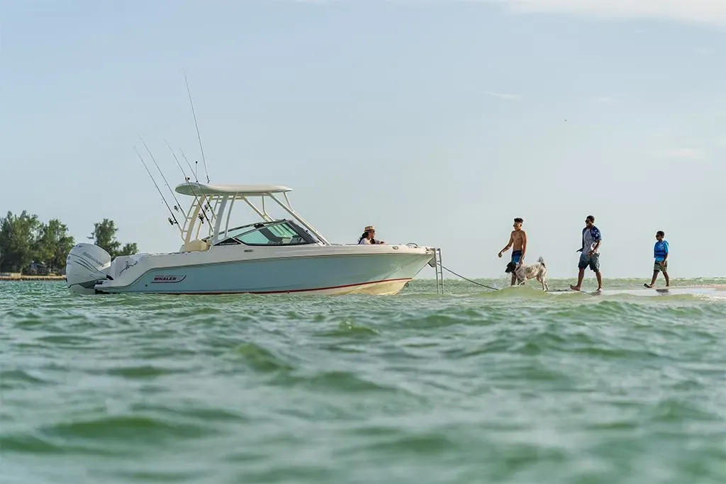 2026 Boston Whaler 240 Vantage Image Thumbnail #15