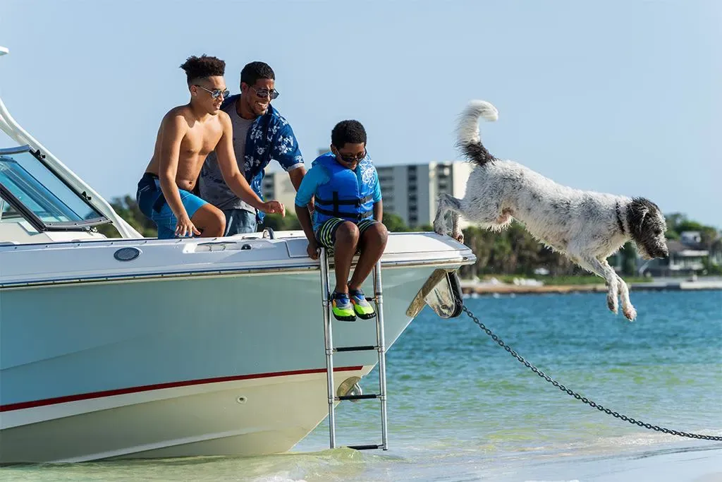 2026 Boston Whaler 240 Vantage Image Thumbnail #16