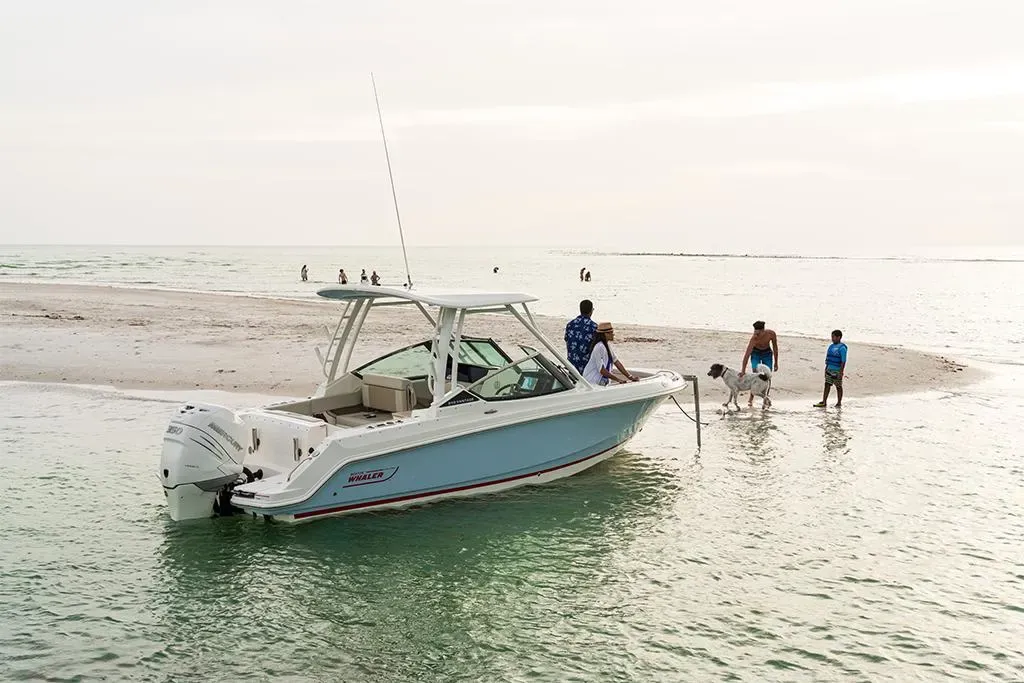 2026 Boston Whaler 240 Vantage Image Thumbnail #17