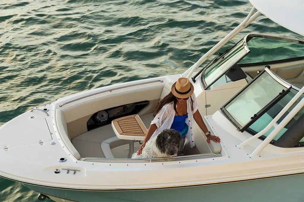 2026 Boston Whaler 240 Vantage Image Thumbnail #26