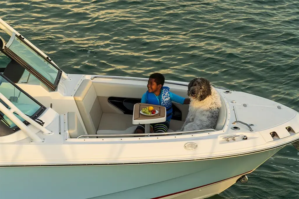 2026 Boston Whaler 240 Vantage Image Thumbnail #36