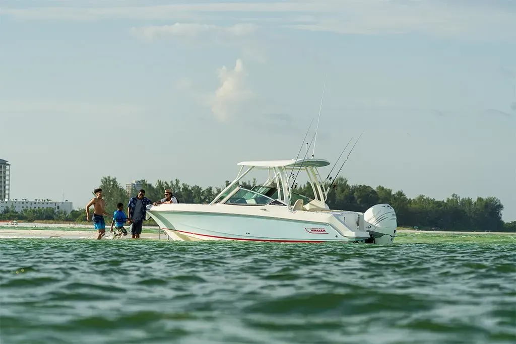 2026 Boston Whaler 240 Vantage Image Thumbnail #47