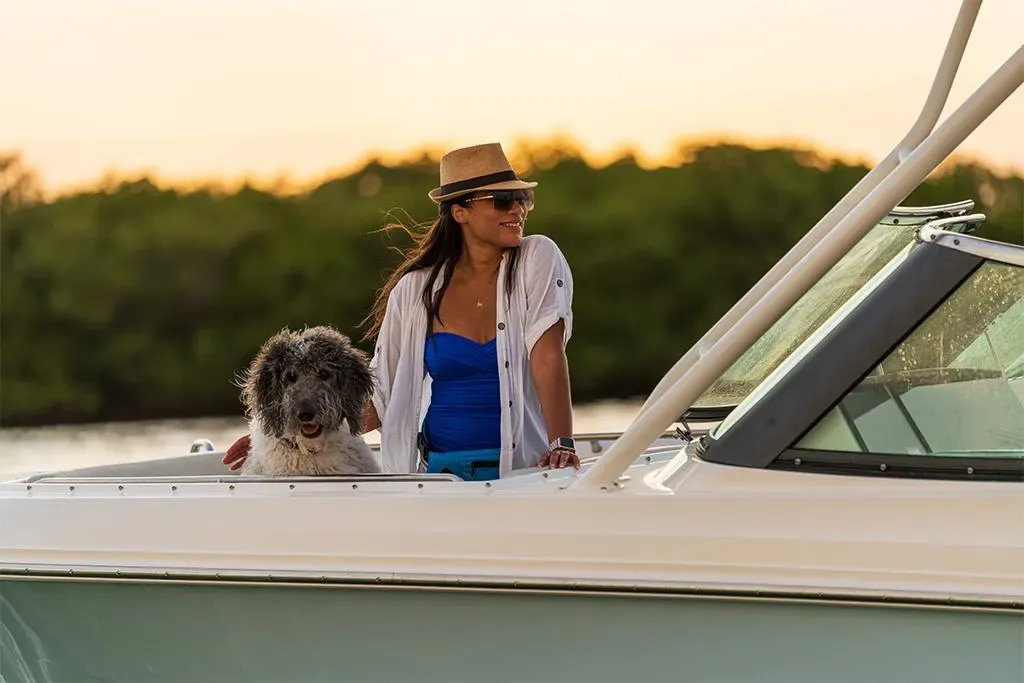 2026 Boston Whaler 240 Vantage Image Thumbnail #57
