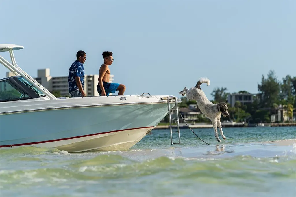 2026 Boston Whaler 240 Vantage Image Thumbnail #65