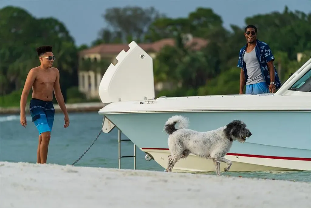 2026 Boston Whaler 240 Vantage Image Thumbnail #66