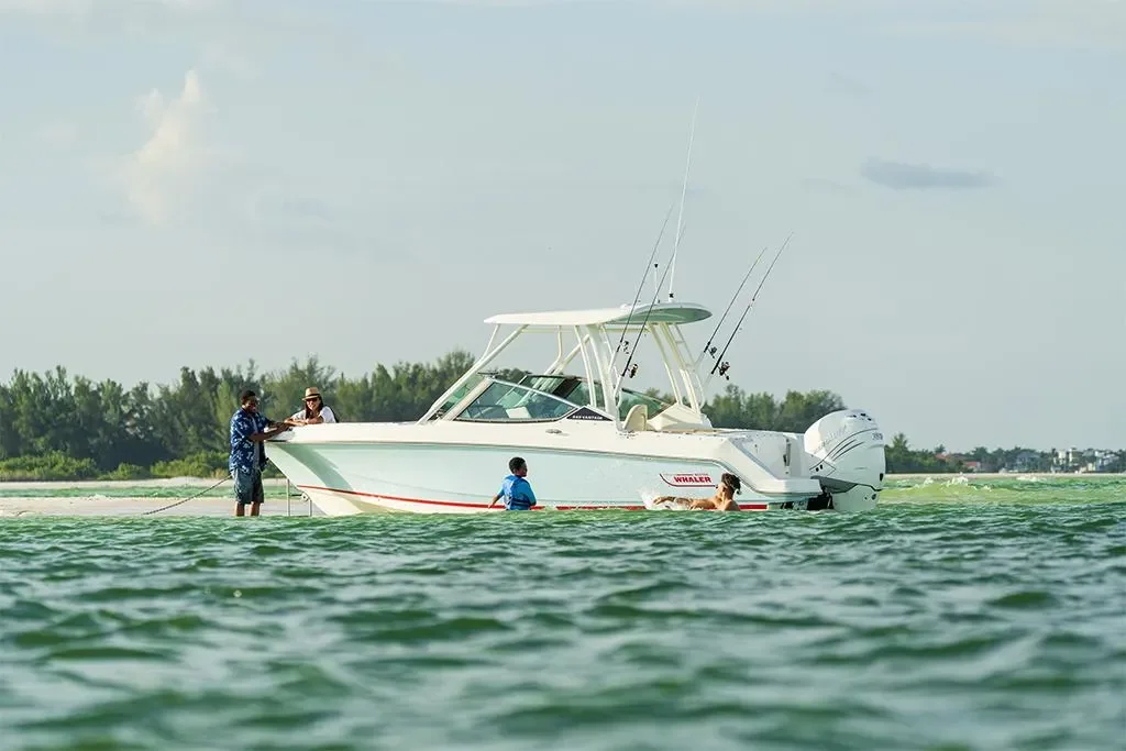 2026 Boston Whaler 240 Vantage Image Thumbnail #11