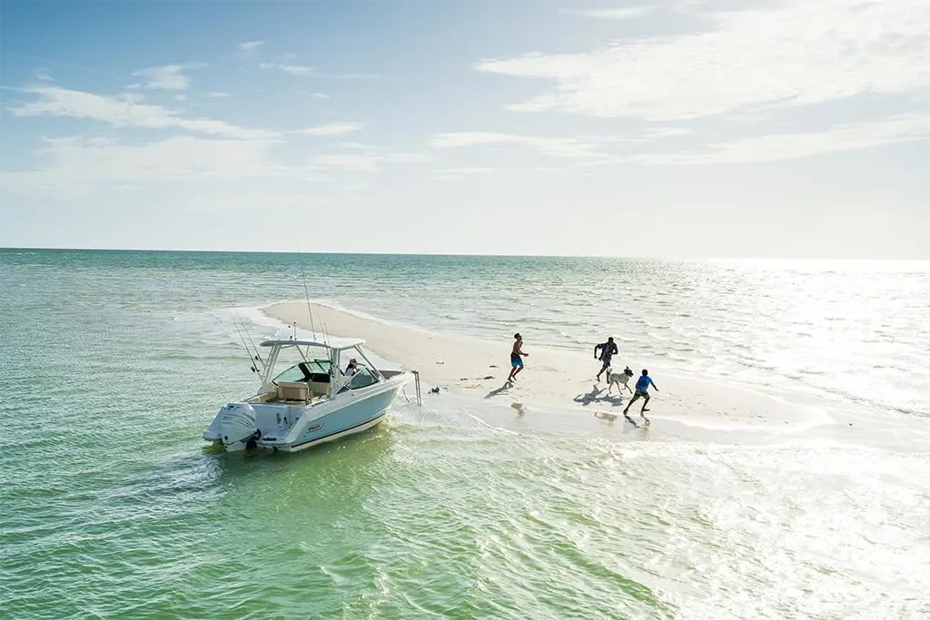 2026 Boston Whaler 240 Vantage Image Thumbnail #12