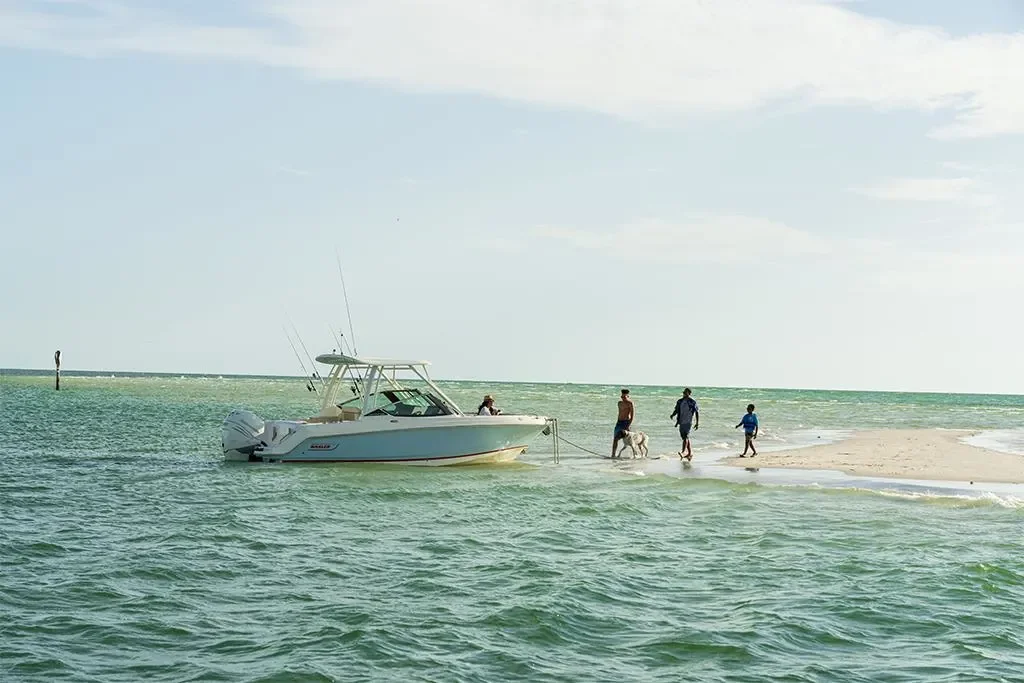 2026 Boston Whaler 240 Vantage Image Thumbnail #49