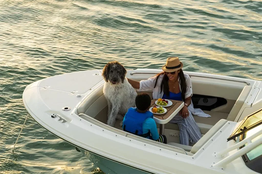 2026 Boston Whaler 240 Vantage Image Thumbnail #38