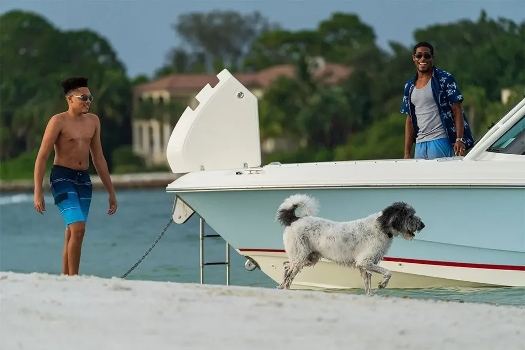 2026 Boston Whaler 240 Vantage Image Thumbnail #66