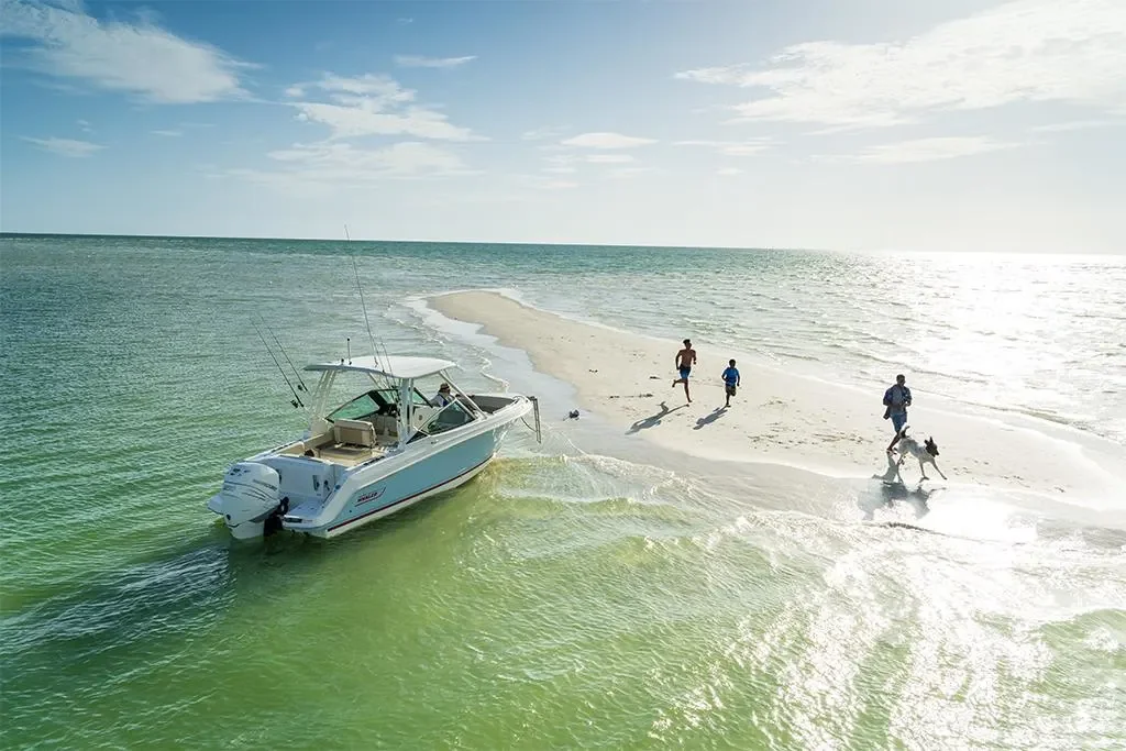 2026 Boston Whaler 240 Vantage Image Thumbnail #51