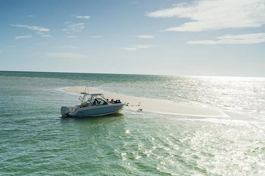 2026 Boston Whaler 240 Vantage Image Thumbnail #54