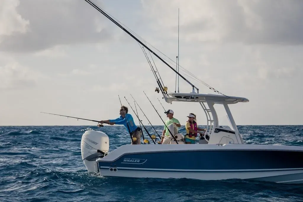 2026 Boston Whaler 230 Outrage Image Thumbnail #5