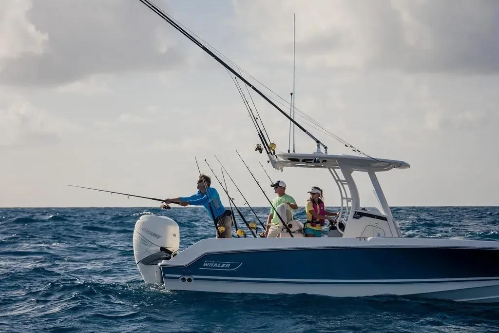 2026 Boston Whaler 230 Outrage Image Thumbnail #5