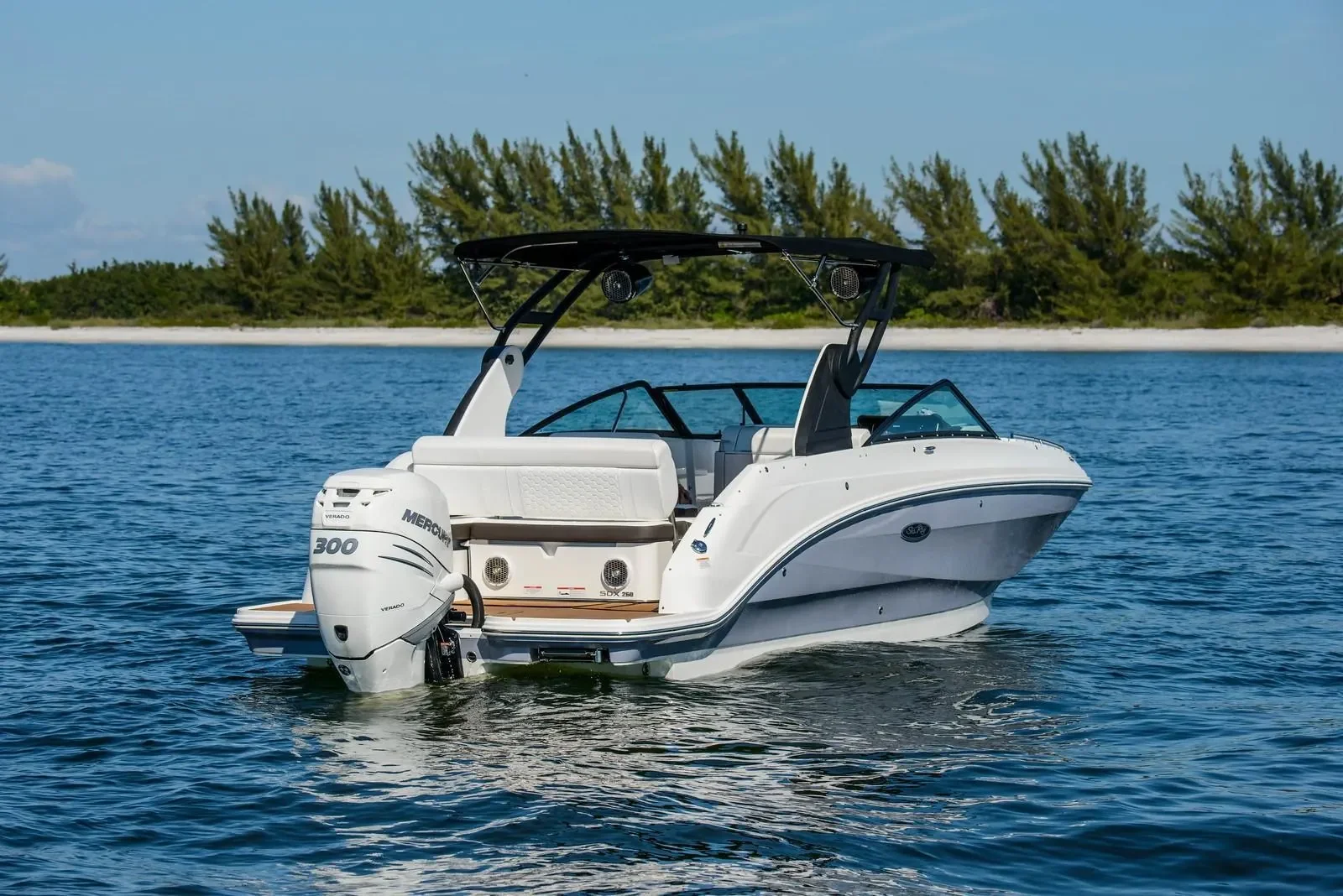 2024 Sea Ray SDX 250 Outboard Image Thumbnail #7