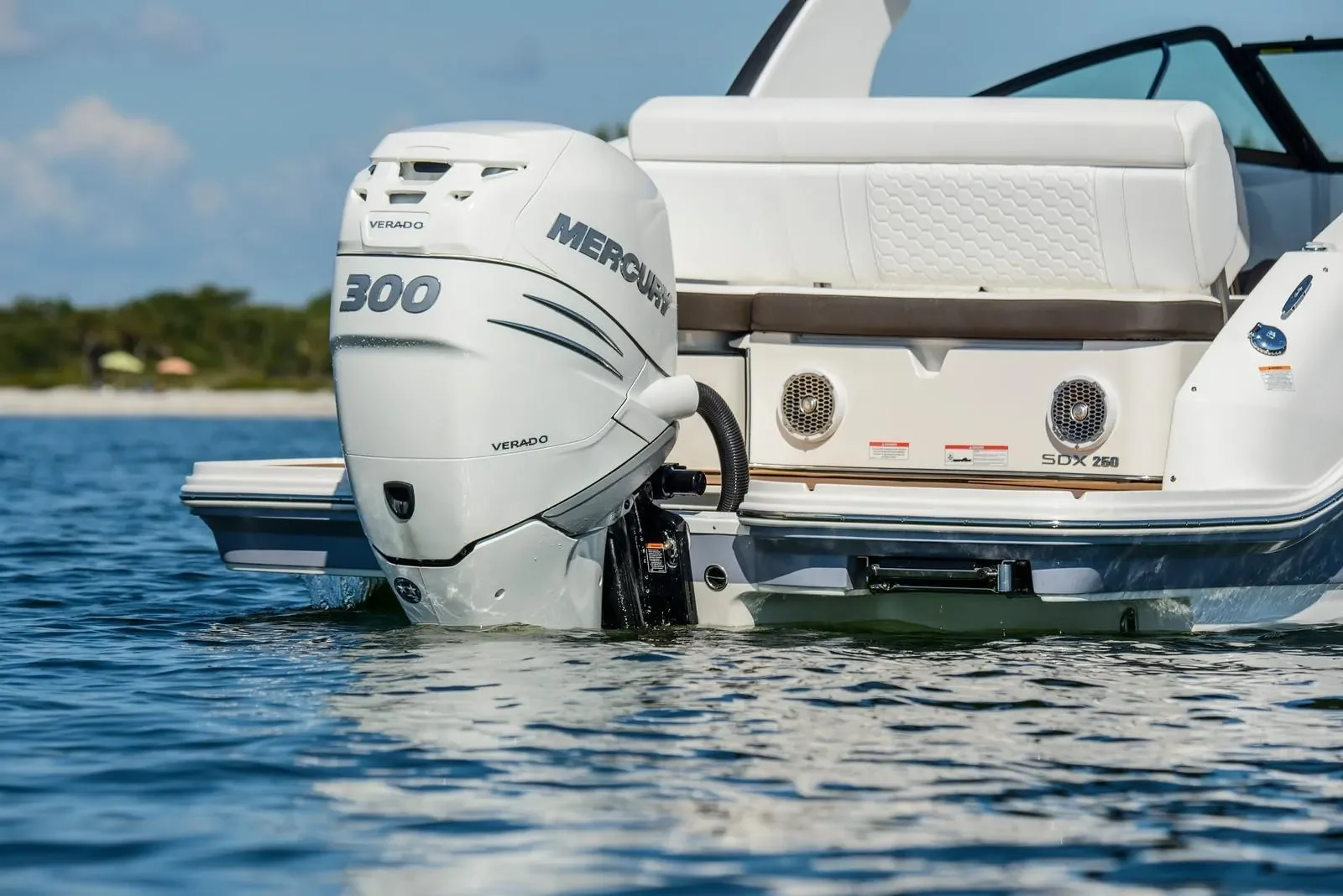 2024 Sea Ray SDX 250 Outboard Image Thumbnail #9