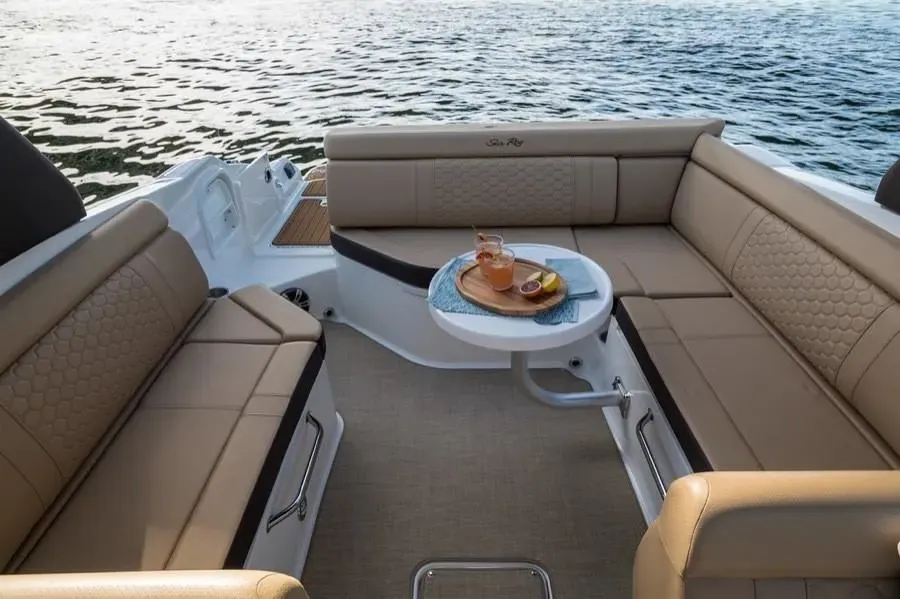2023 Sea Ray SDX 270 Image Thumbnail #12