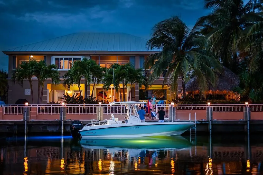 2023 Boston Whaler 270 Dauntless Image Thumbnail #1