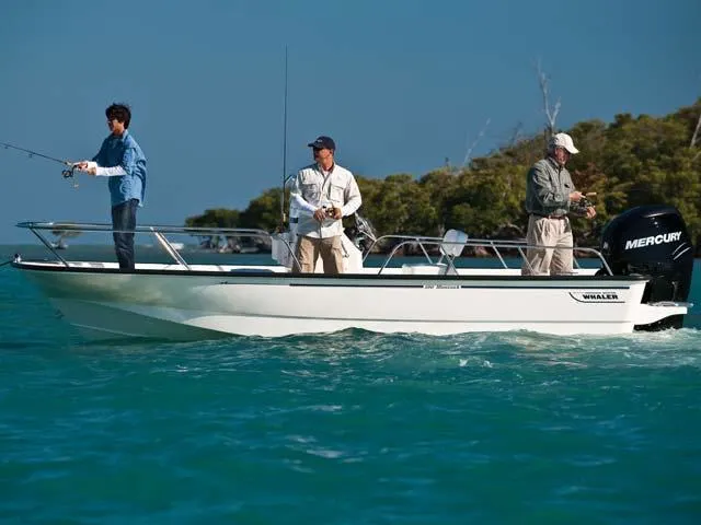 2017 Boston Whaler 190 Montauk Image Thumbnail #5