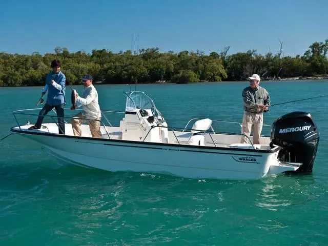 2017 Boston Whaler 190 Montauk Image Thumbnail #6