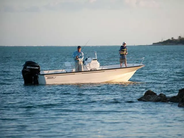 2017 Boston Whaler 190 Montauk Image Thumbnail #7