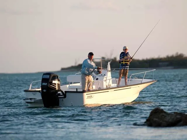 2017 Boston Whaler 190 Montauk Image Thumbnail #8