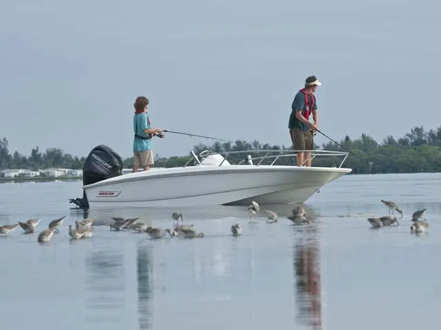 2017 Boston Whaler 150 Super Sport Image Thumbnail #8
