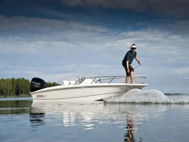 2017 Boston Whaler 150 Super Sport Image Thumbnail #9