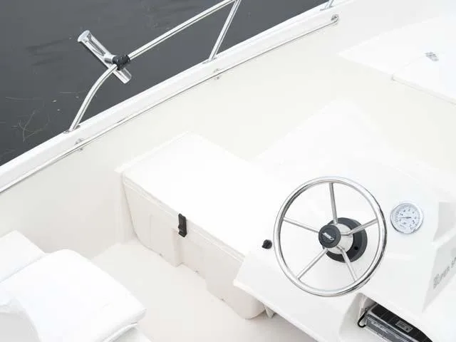 2017 Boston Whaler 150 Super Sport Image Thumbnail #17