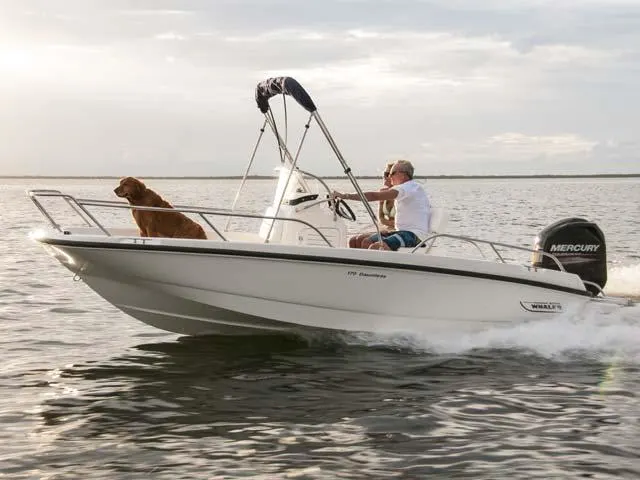 2017 Boston Whaler 170 Dauntless Image Thumbnail #3