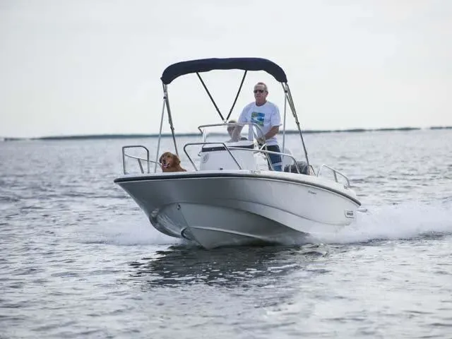 2017 Boston Whaler 170 Dauntless Image Thumbnail #7