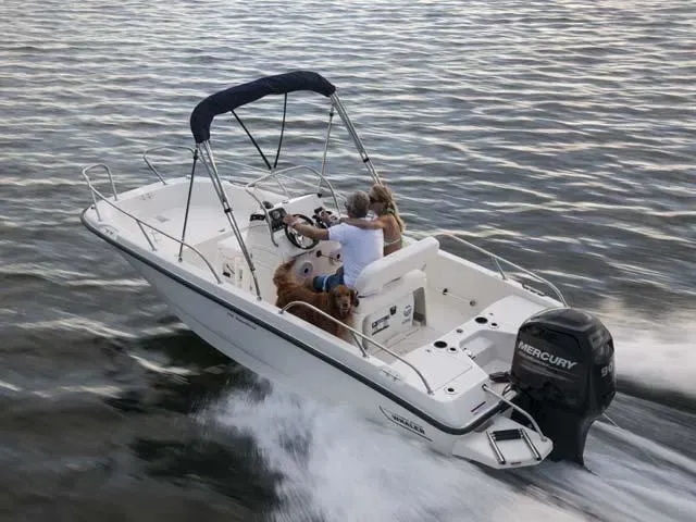 2017 Boston Whaler 170 Dauntless Image Thumbnail #8