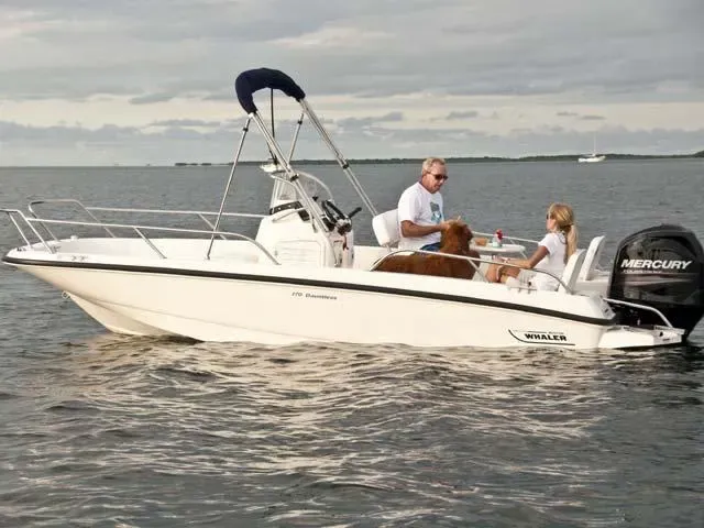 2017 Boston Whaler 170 Dauntless Image Thumbnail #21