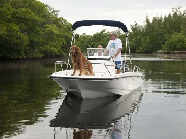 2017 Boston Whaler 170 Dauntless Image Thumbnail #24