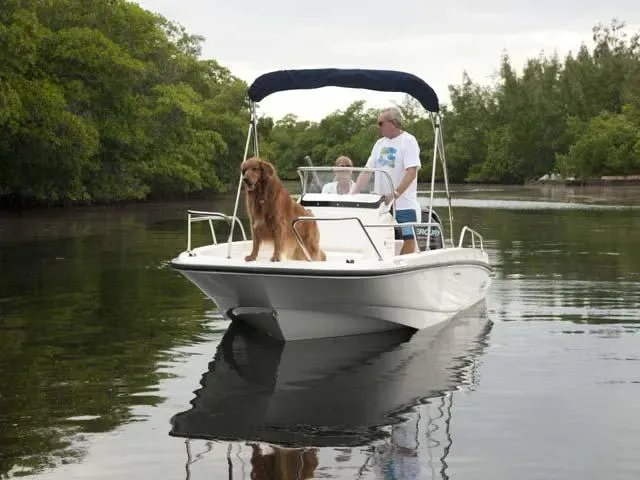 2017 Boston Whaler 170 Dauntless Image Thumbnail #24