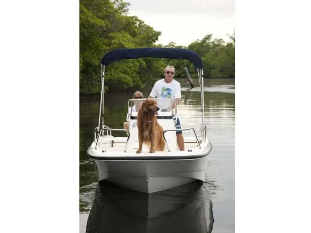 2017 Boston Whaler 170 Dauntless Image Thumbnail #25