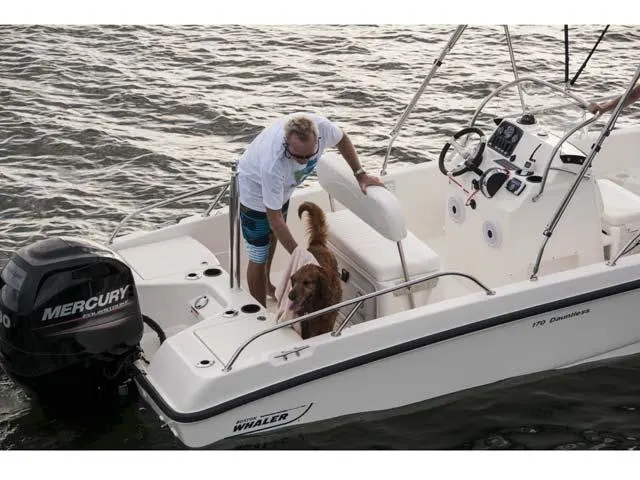 2017 Boston Whaler 170 Dauntless Image Thumbnail #27