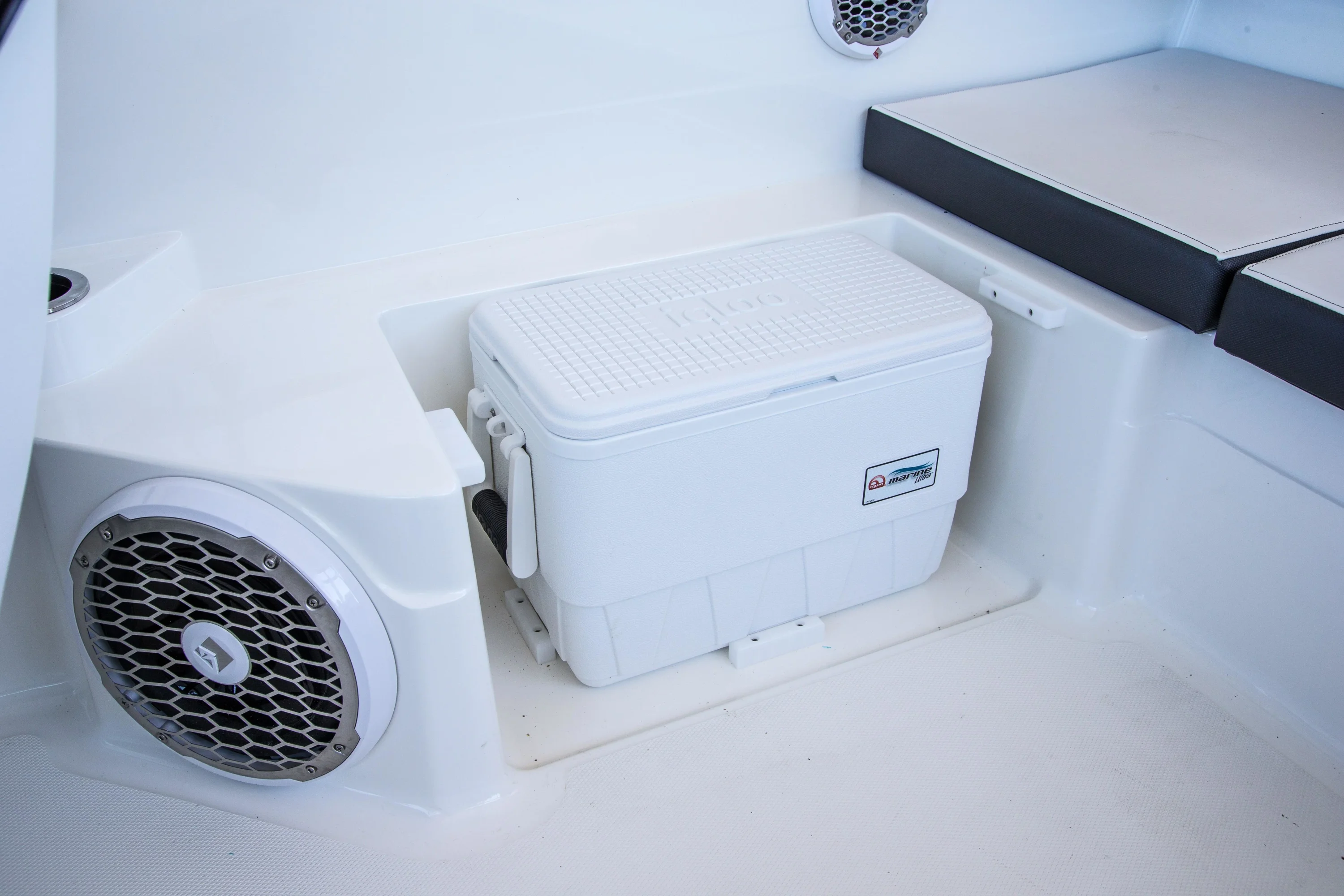 2016 Sea Ray 21 SPX Image Thumbnail #11