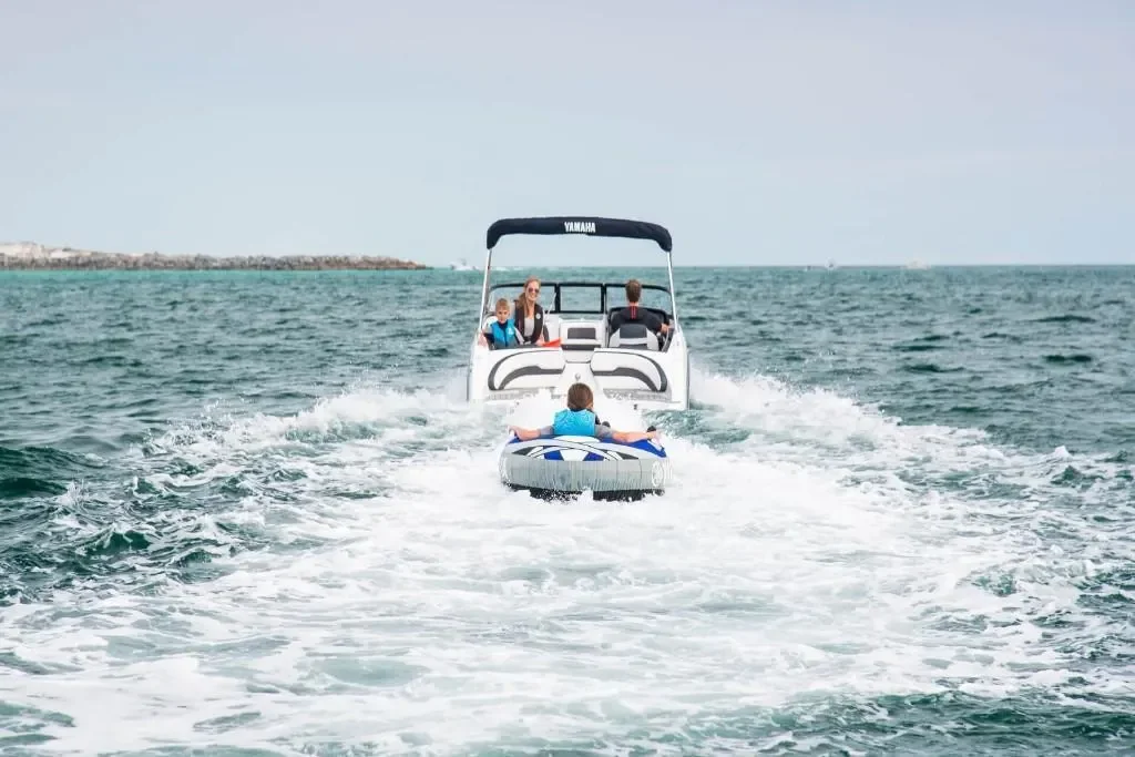 2026 Yamaha SX195 Image Thumbnail #2