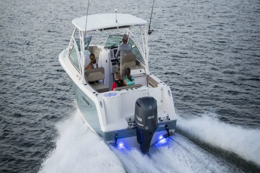 2023 Sailfish 245 DC Image Thumbnail #3