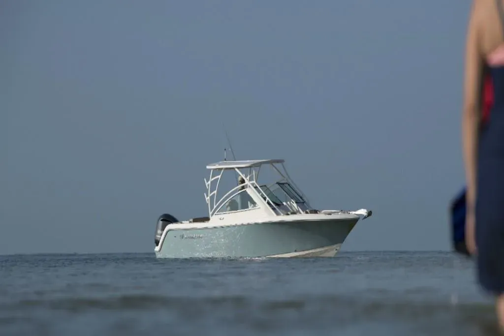 2023 Sailfish 245 DC Image Thumbnail #7