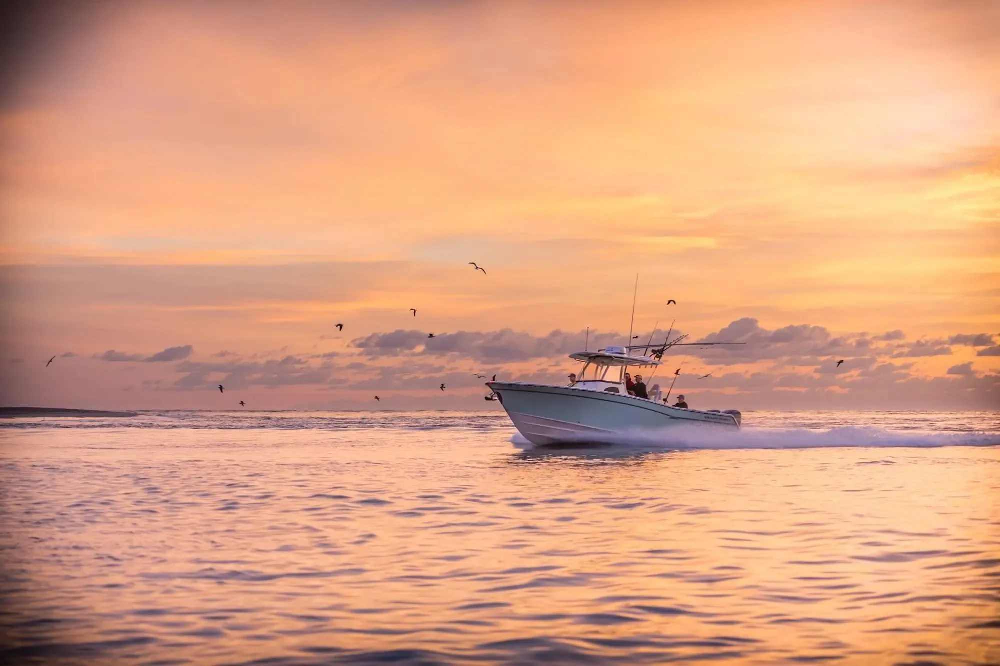 2026 Grady-White Canyon 306 Image Thumbnail #5