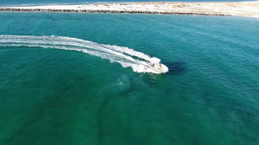 2026 Sailfish 241 CC Image Thumbnail #4