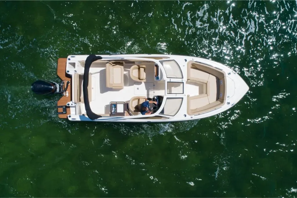 2025 Scout 240 Dorado Image Thumbnail #4