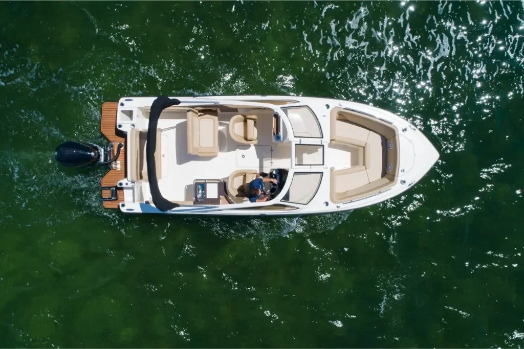 2026 Scout 240 Dorado Image Thumbnail #4