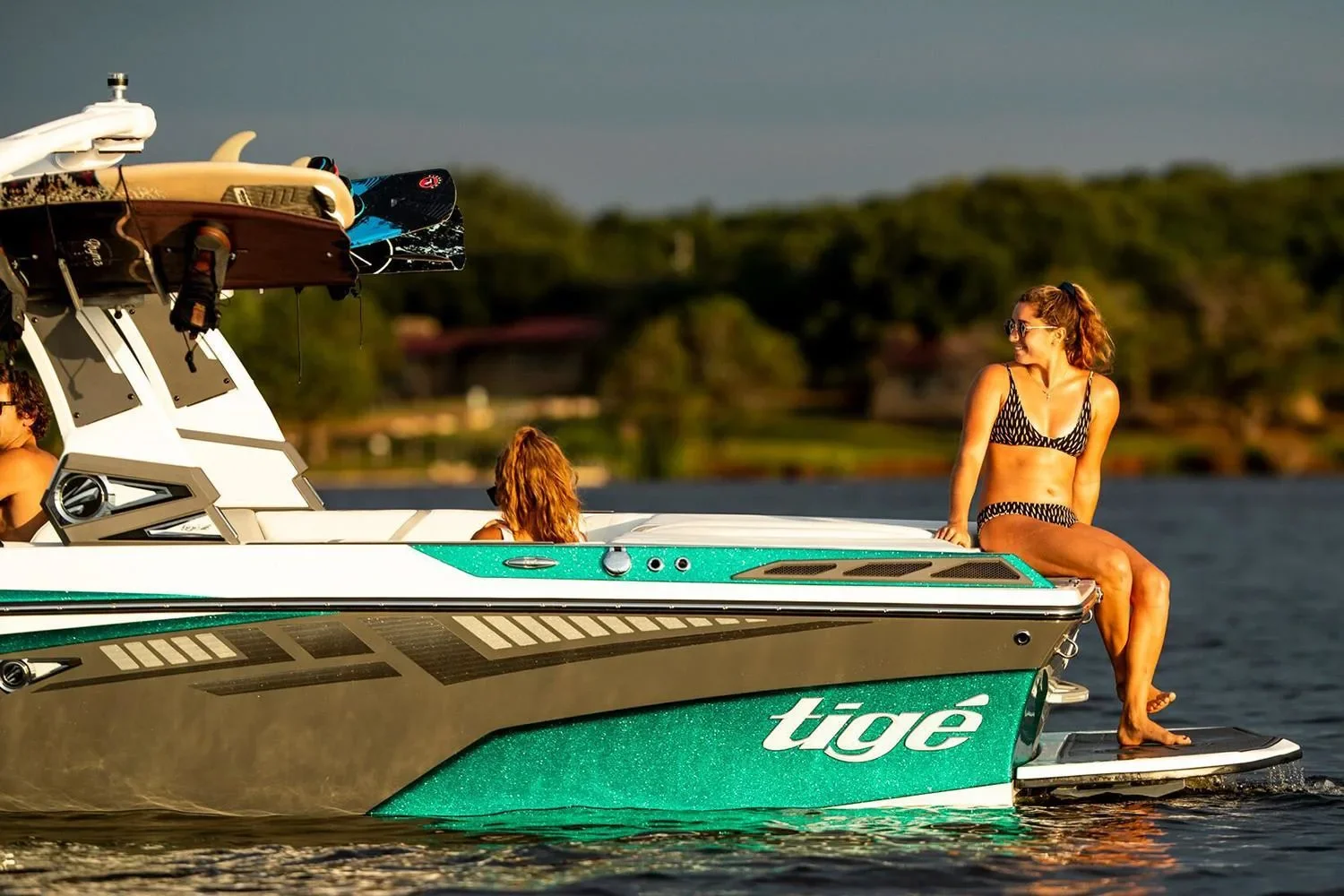 2025 Tige 22RZX Image Thumbnail #5