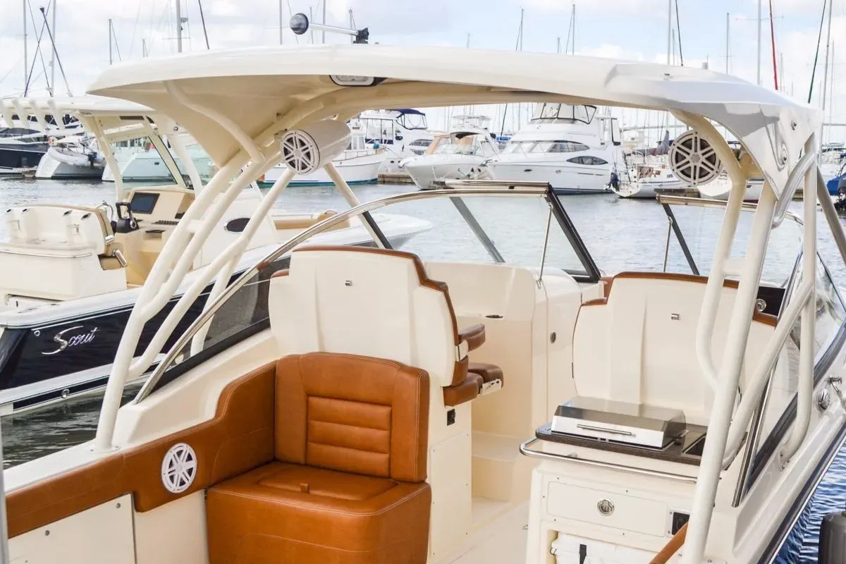 2025 Scout 255 Dorado Image Thumbnail #7