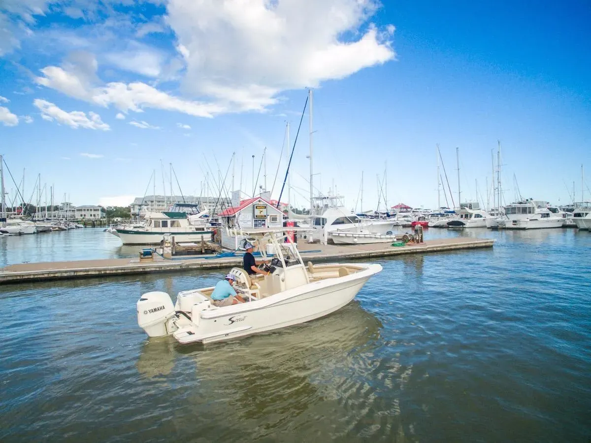 Photo 6 for 2026 Scout 215 XSF