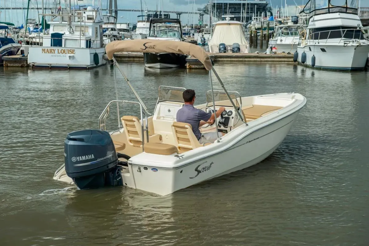 2026 Scout 175 Sport Dorado Image Thumbnail #4