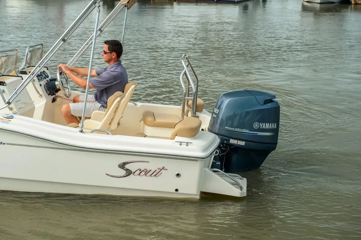 2026 Scout 175 Sport Dorado Image Thumbnail #7